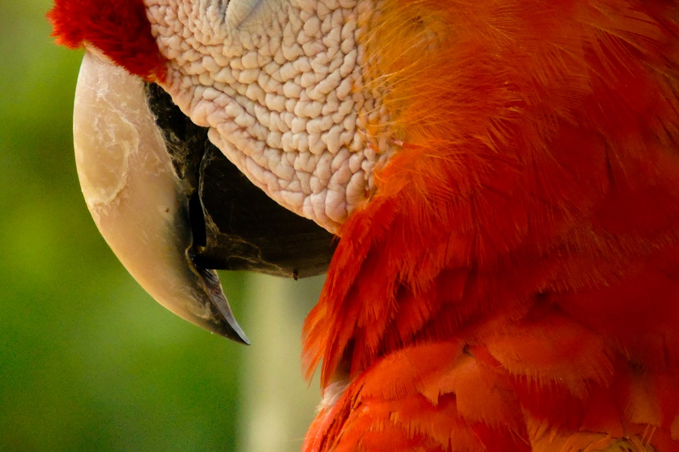 pexels-photo-13803453