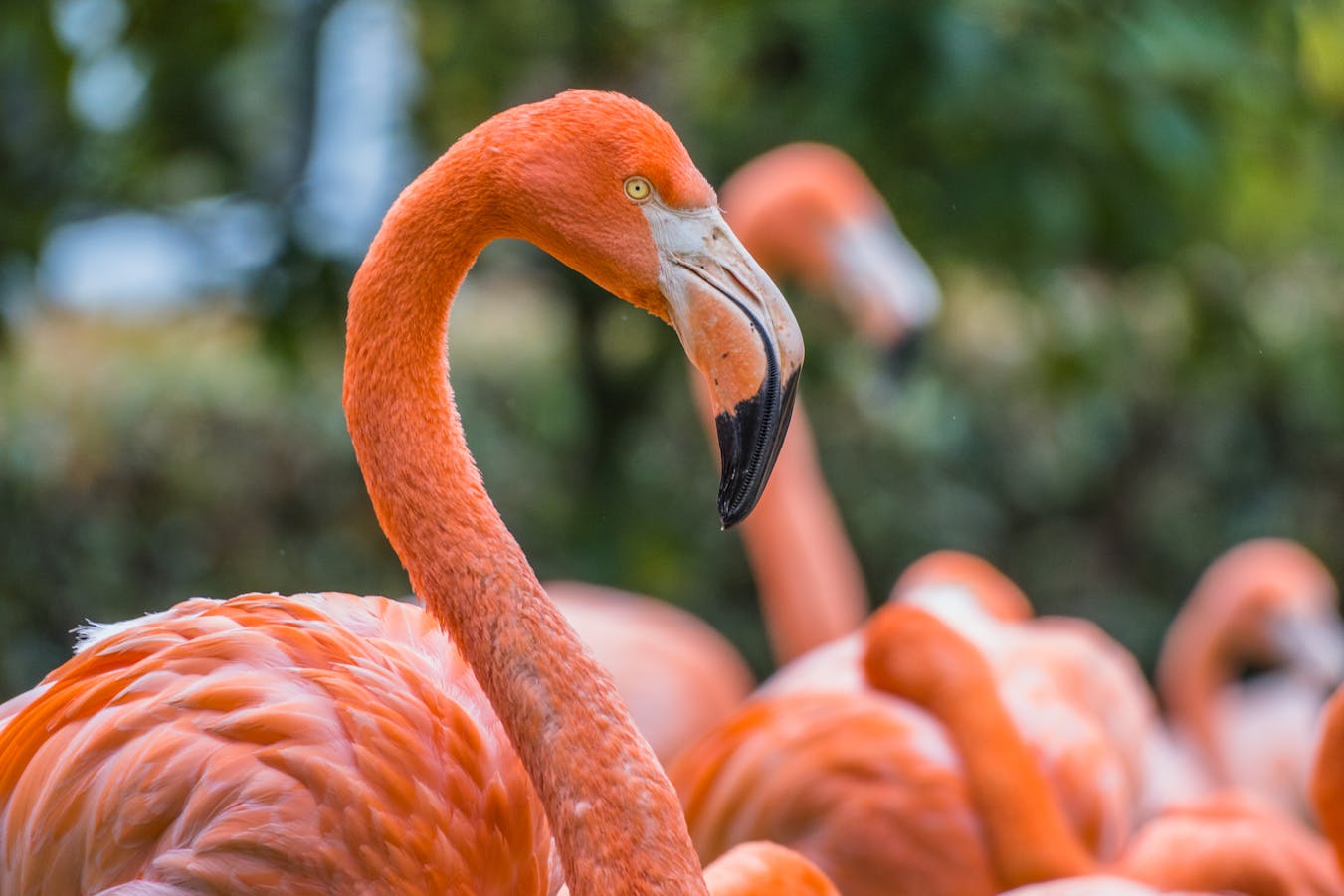 pexels-photo-18162793-1